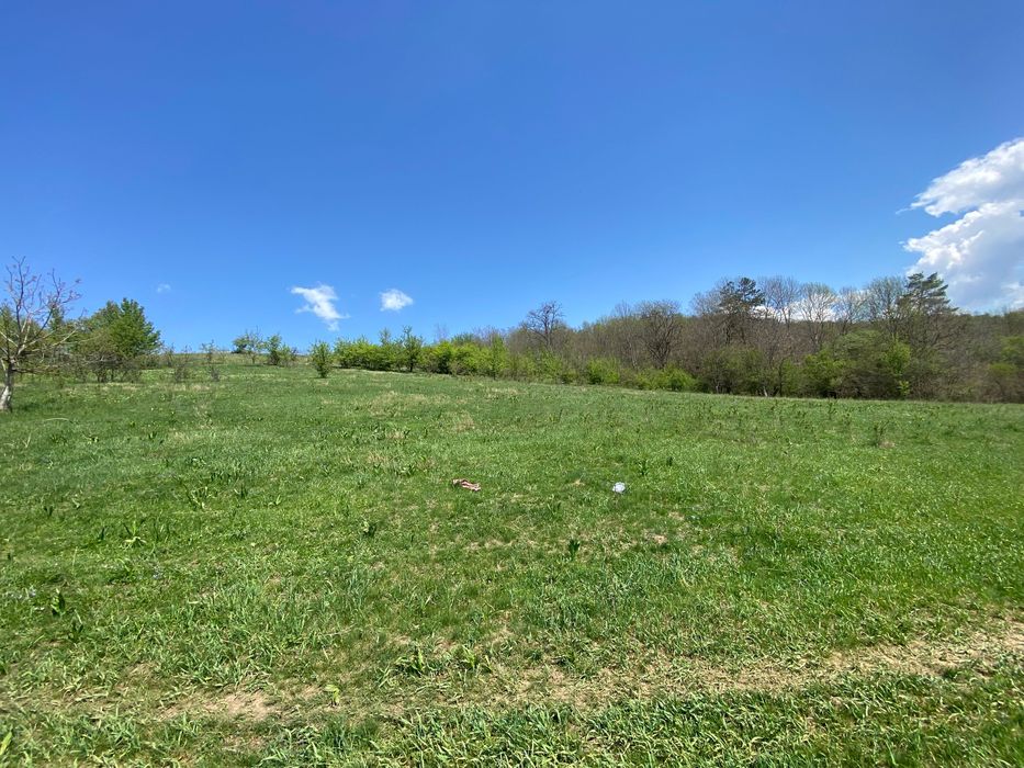 Teren 14,61 ha de vânzare – Hălmeag, Brașov