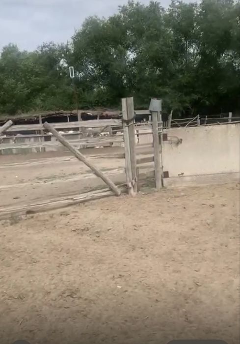 Фазенда сатамынн