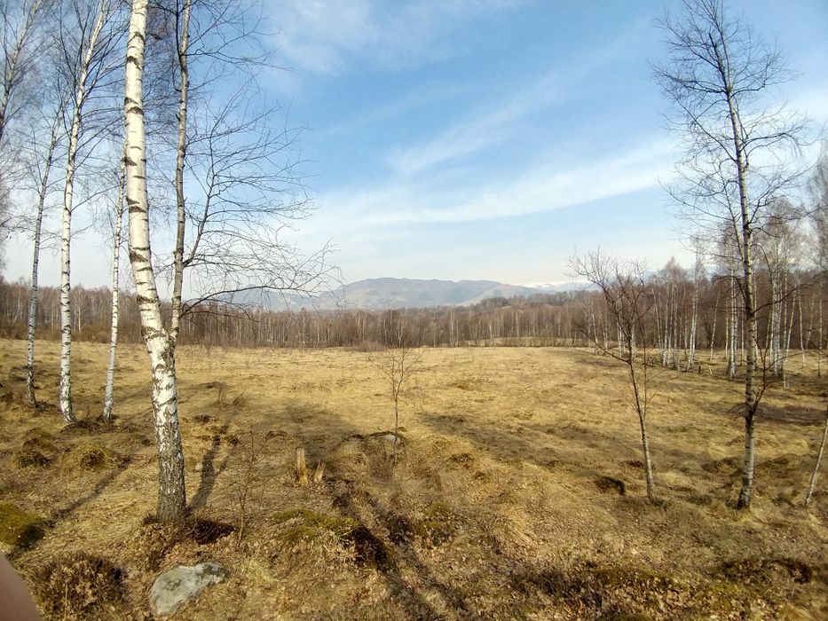 Teren 1000mp extravilan
