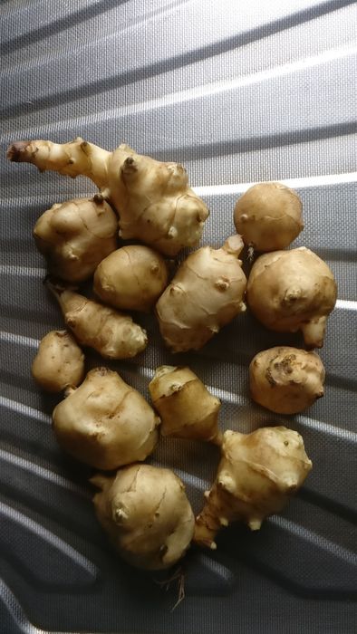 Napi albi proaspeți