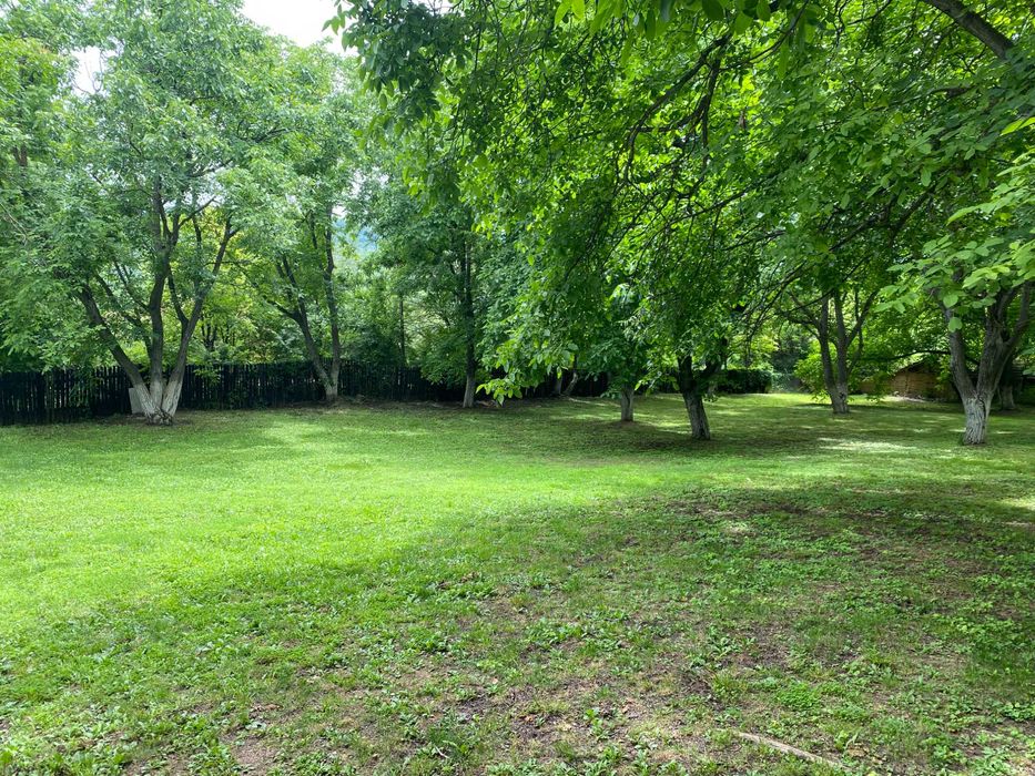 Озеленяване и поддръжка.