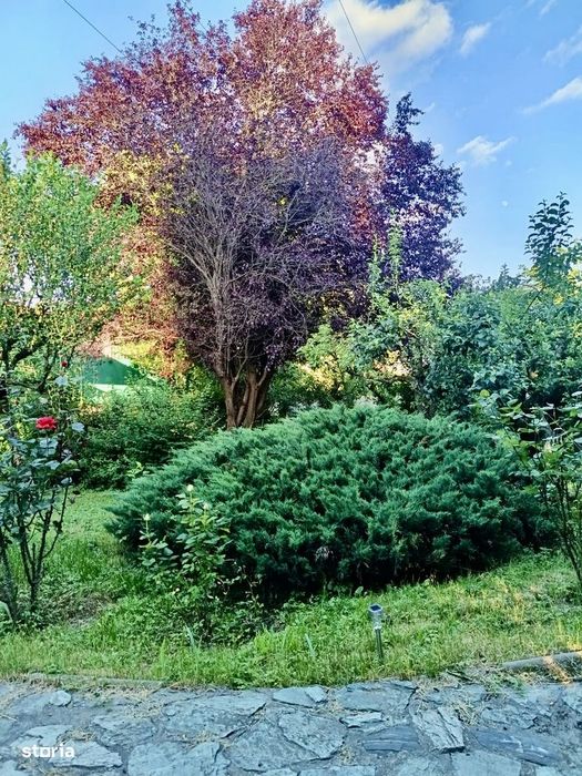 Casă Cu 480 Mp Construiți | 750 Mp Teren | Zona Nord-Kaufland