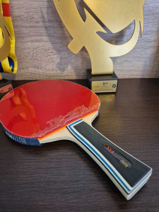 Paletă chinezeasca profi XVT EFECT Max de atac