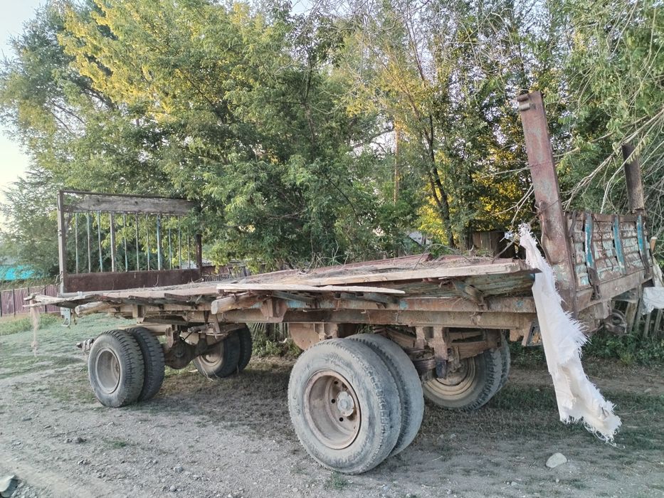 продам телешку 25т