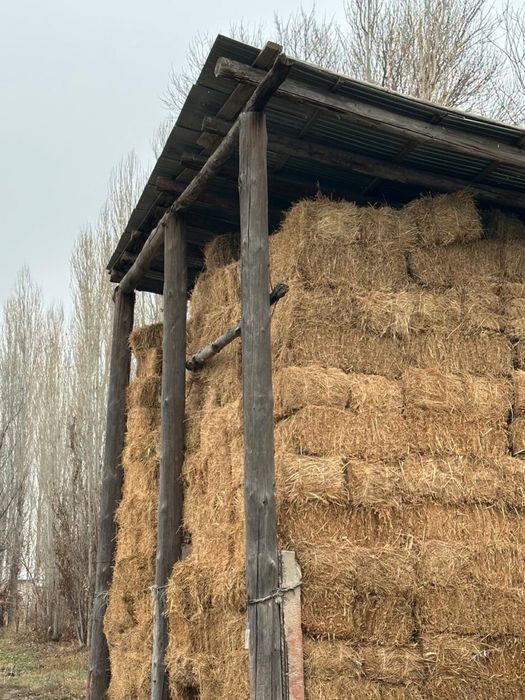 Жоңышқа үшінші орым сатылажы