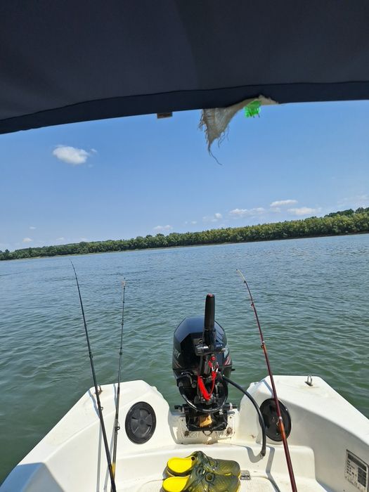 Motor Mercury 20cp injecție cisma scurtă mâner pornire sfoară 2018 pre