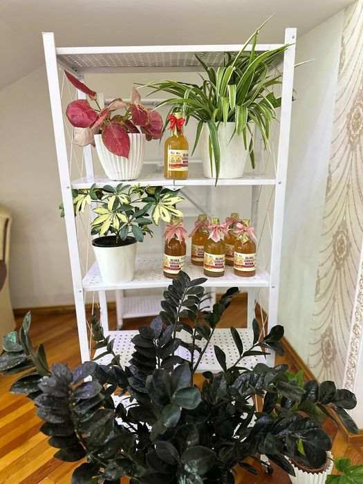 Olma sirkasi яблочный уксус