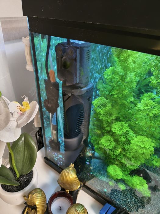 Acvariu cu pesti CLASICA