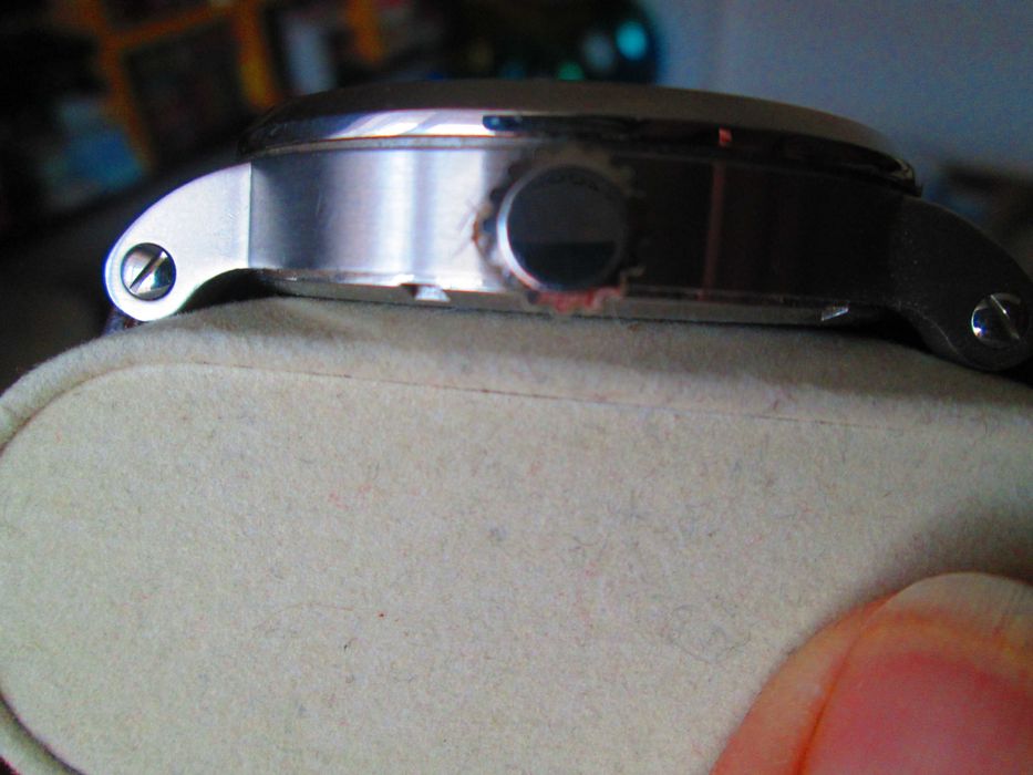 ceas barbatesc Fossil