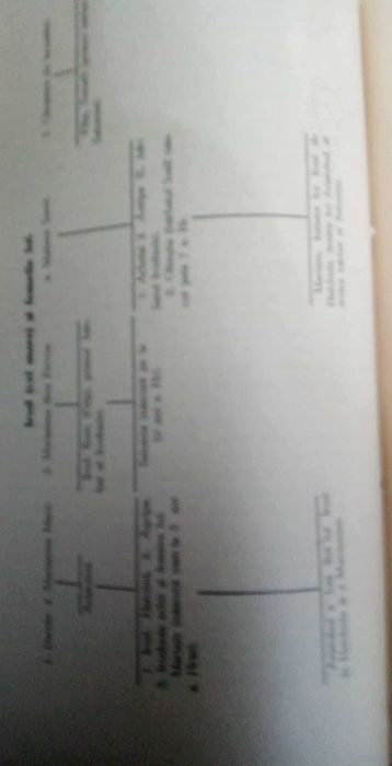 Biblia comentata-A.P.Lopuhin-an 1948 leg LUX-marime gigant