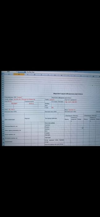 Айғыр сатылады МЗ.  2018 жылы тұылған.