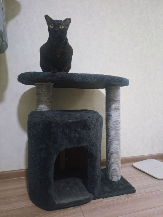 Когтеточка в наличии и под заказ