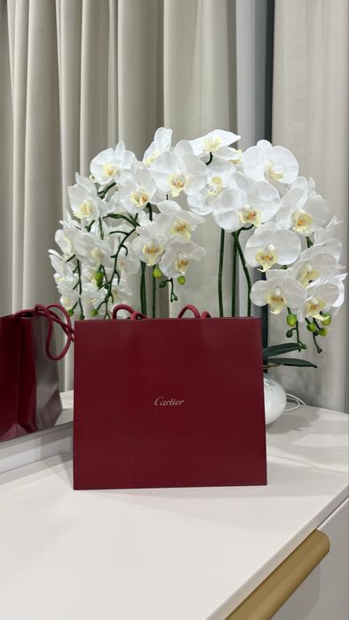 Брендовые пакеты оригинал