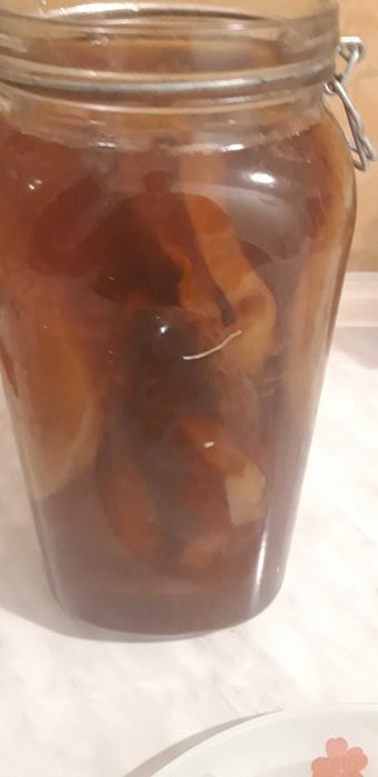 Ciuperca Kombucha ceai