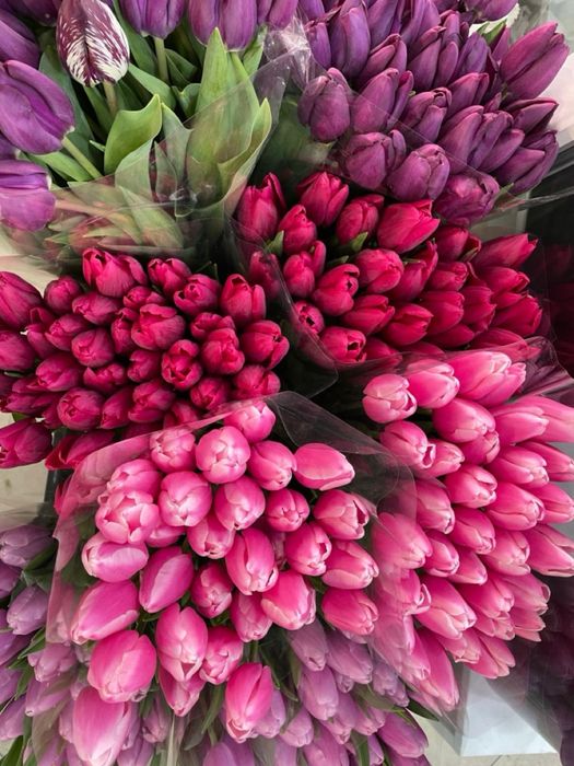 Тюльпаны оптом на 8 марта