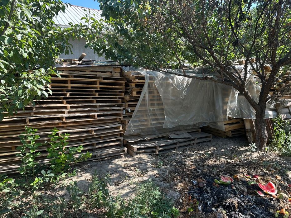 Ағаштар сатылады