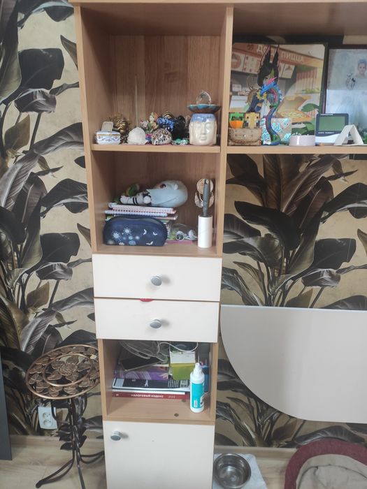 Школьная стенка Мечта