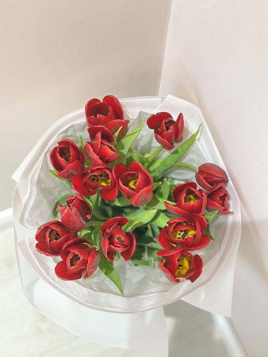 продаются тюльпаны