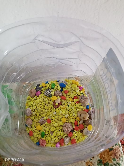 Аквариум балығымен
