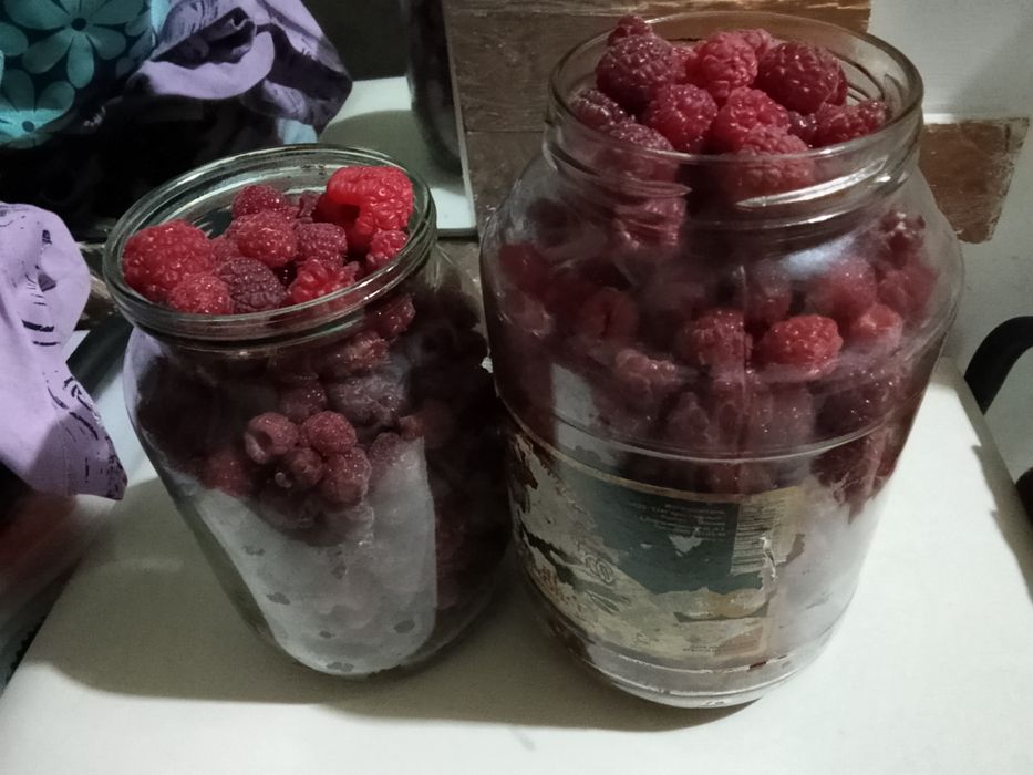 Свежесобранная малина