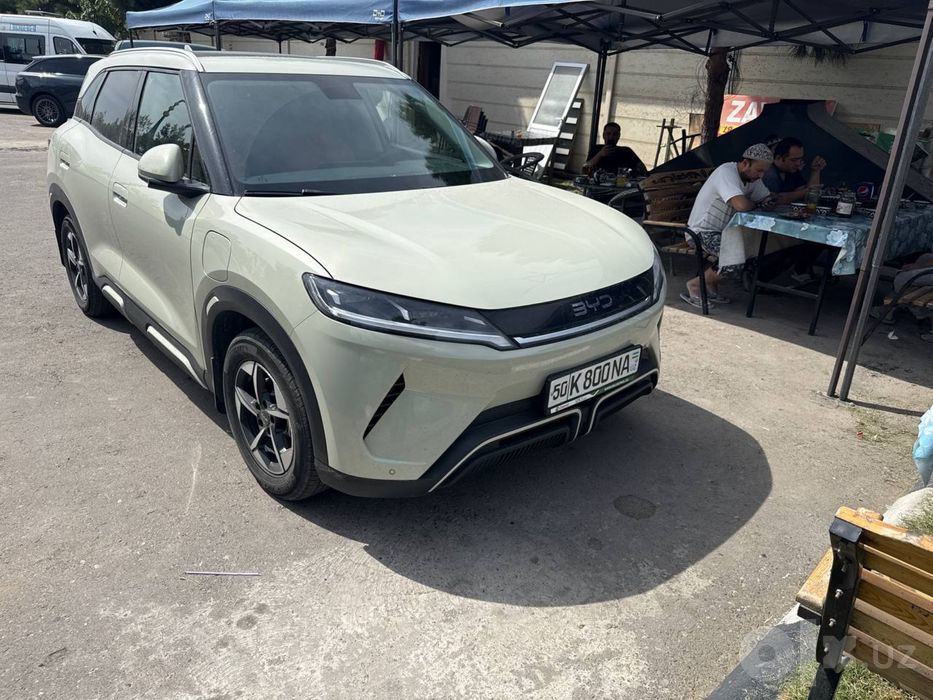 BYD yuan up full 2025.25
