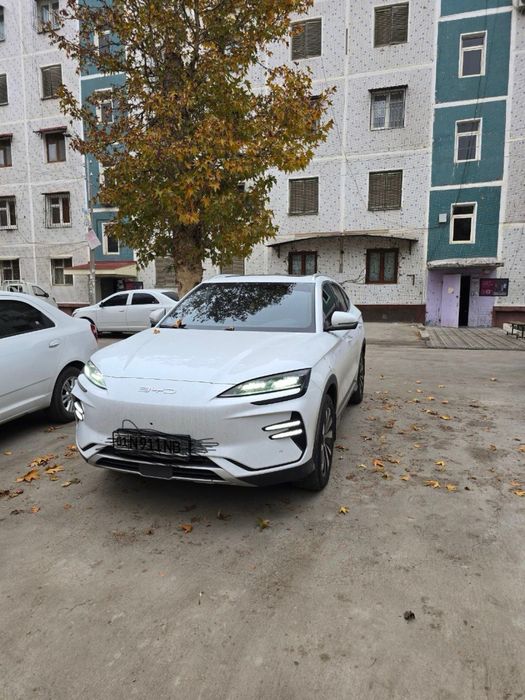 Byd chempion 605 kraska toza