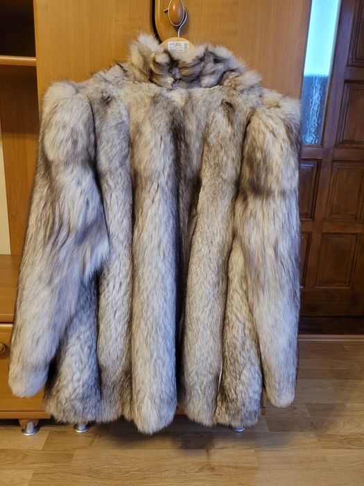 Haina blana vulpe argintie