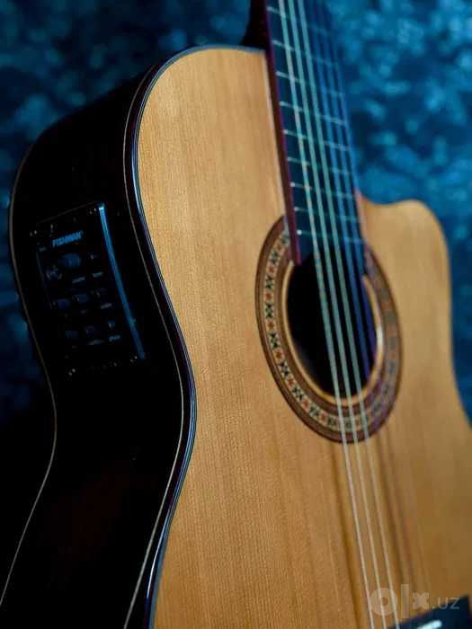 IBANEZ org guitar eq