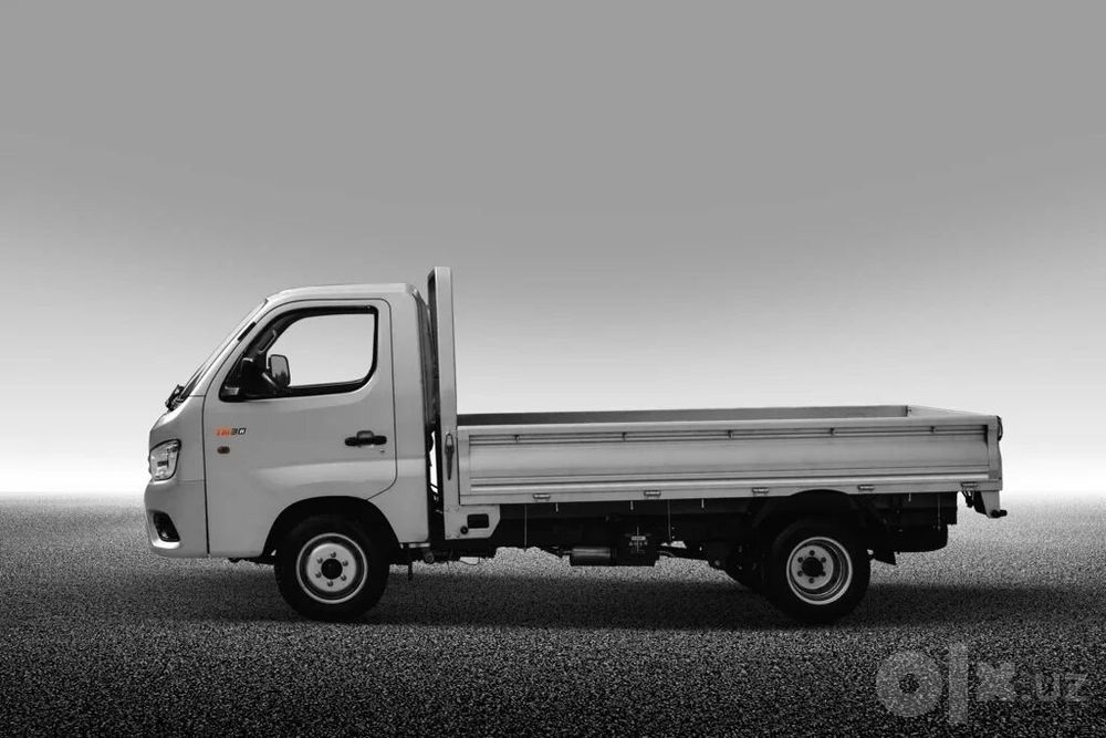 FOTON Truck Mate 1