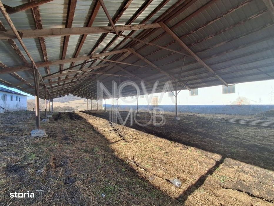 Ferma complet echipata de vanzare – zona Agnita, judetul Sibiu