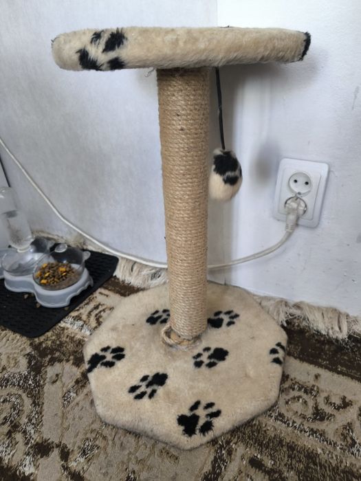 Когтеточка для котов