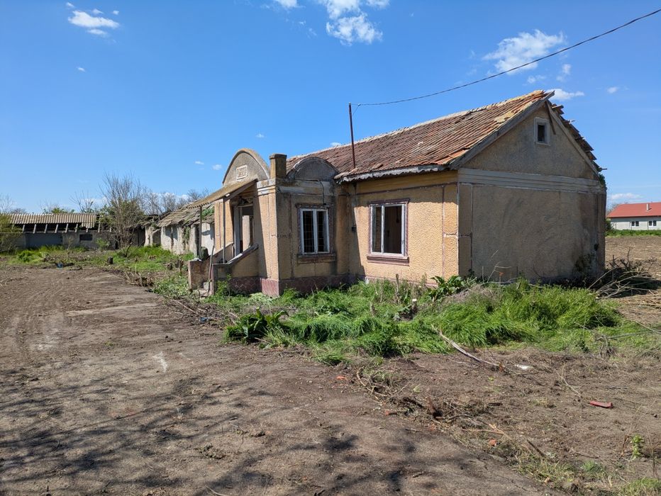 OFERTA Teren intravilan in  Nuntasi