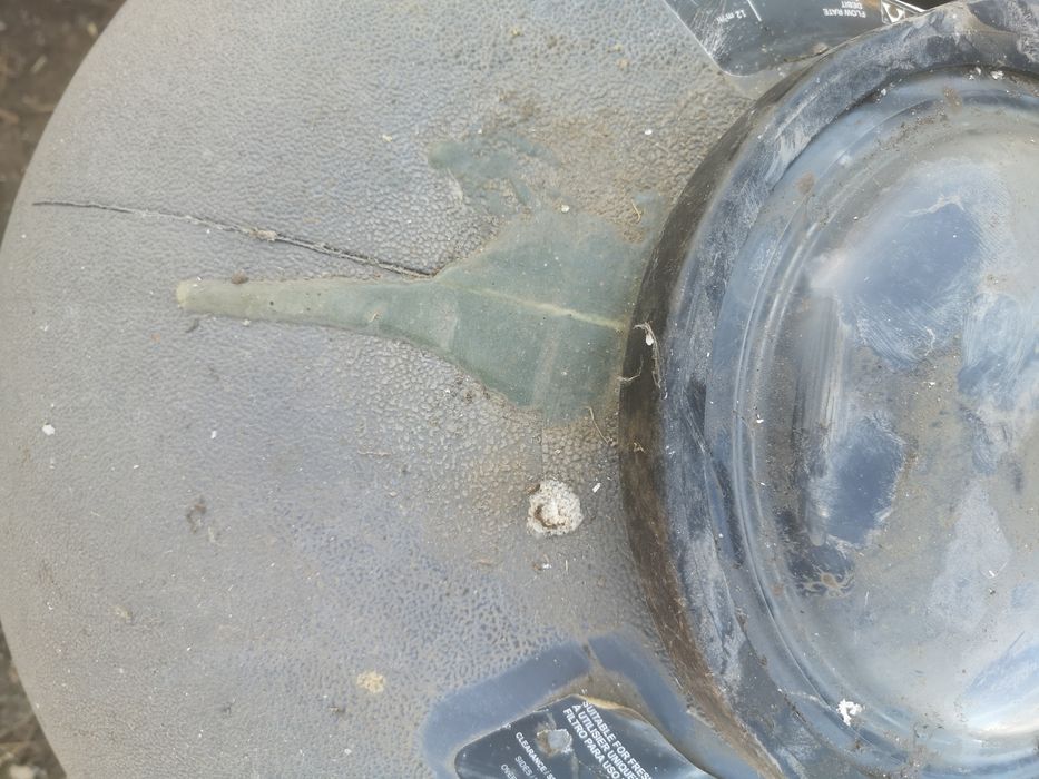 Filtru piscina  astra pool milenium are o fisura mica sus