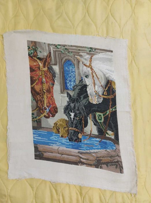 Само за ценители