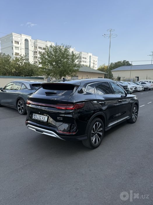 Byd chempion 2024