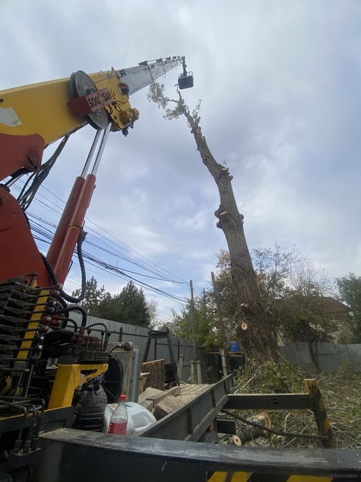 Услуги автовышки агп