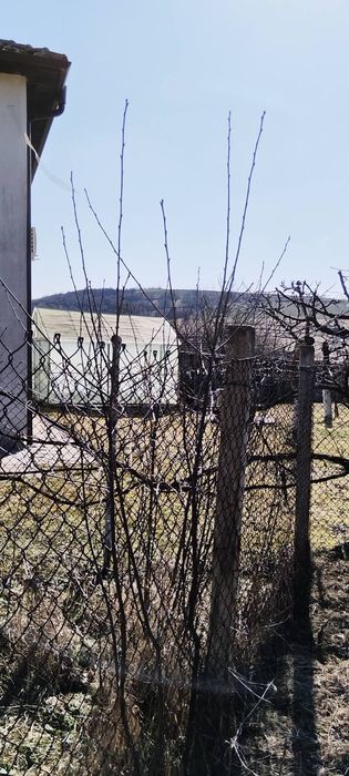 Продава се Къща в с. Дивотино, Област Перник - 50 кв.м за 600 €/кв.м - Снимка #6