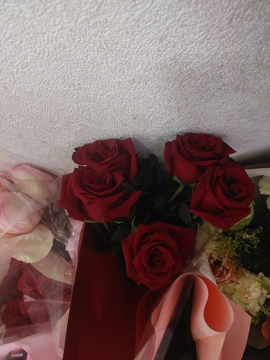 Цветы розы красные