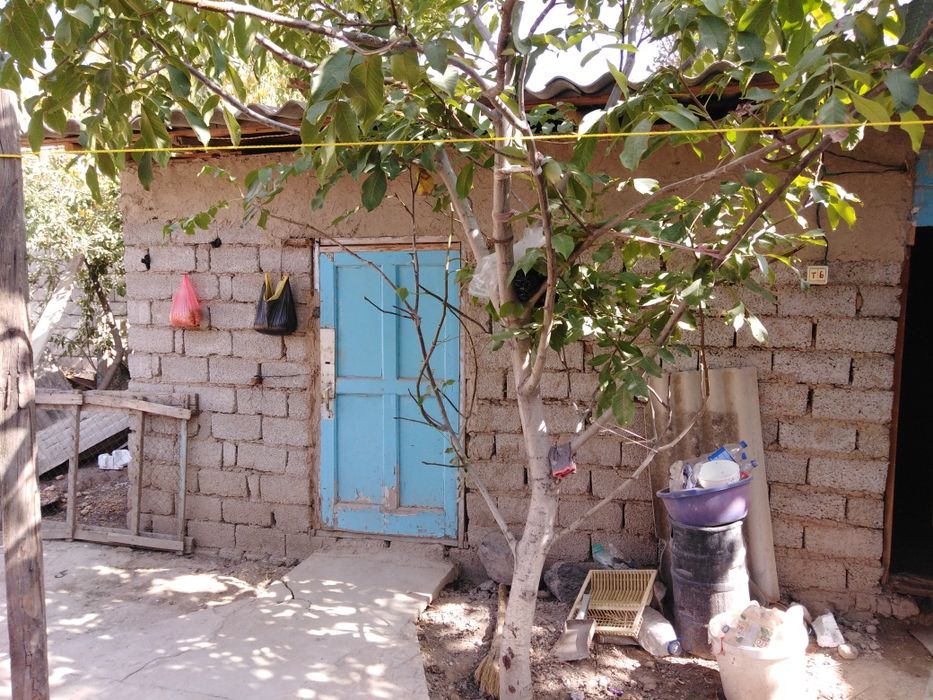 Янгибозорни сентирида уй