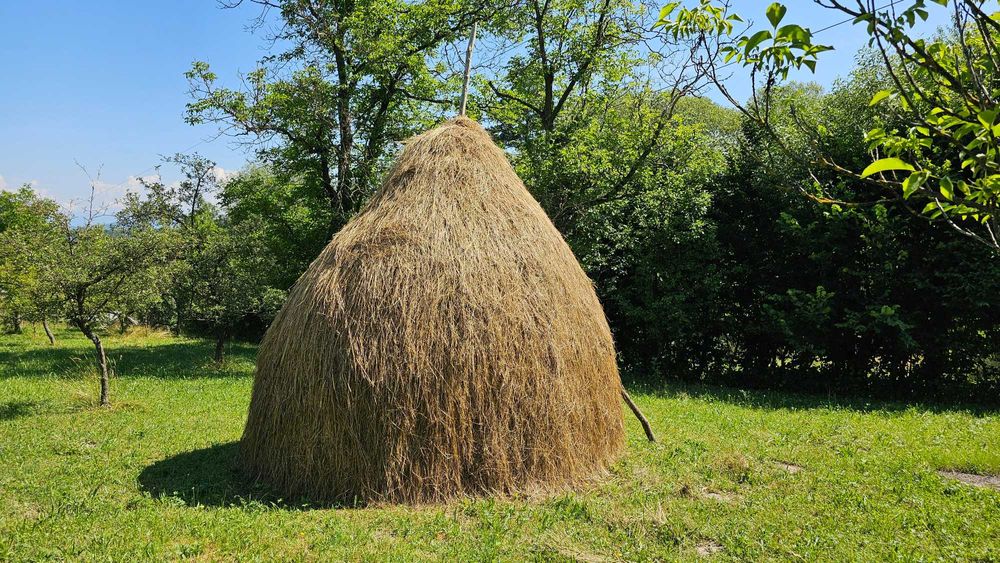 Vand fan, din șopru și 5 clăi.