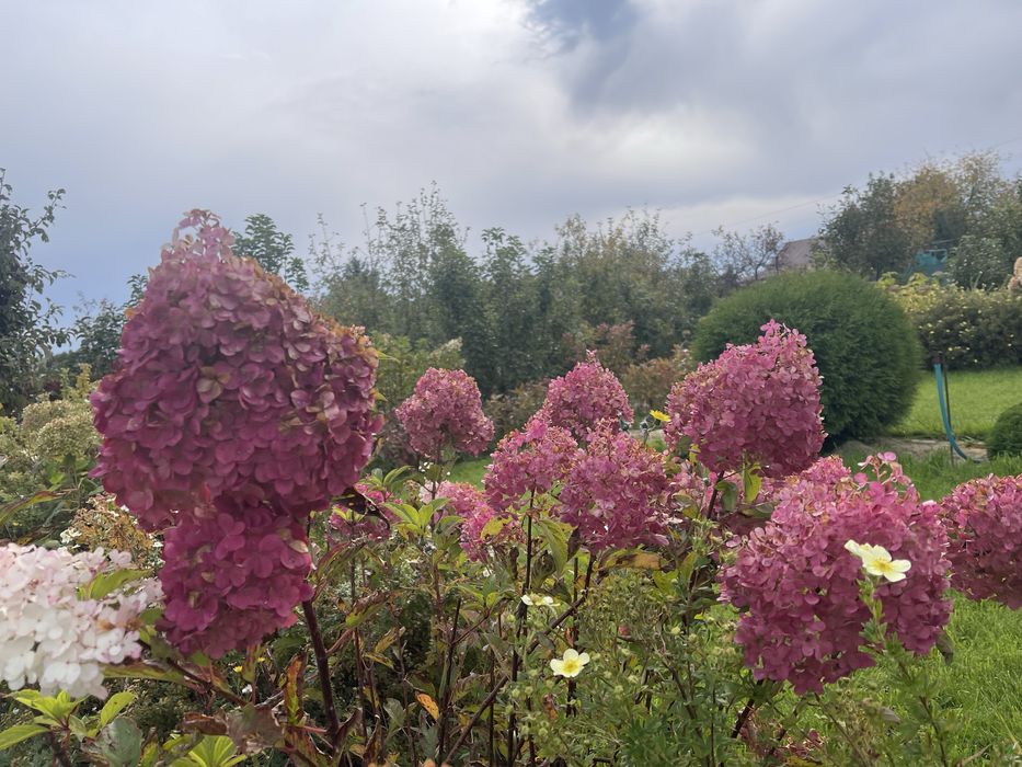 Продается  шикарная дача в Новой Бухтарме