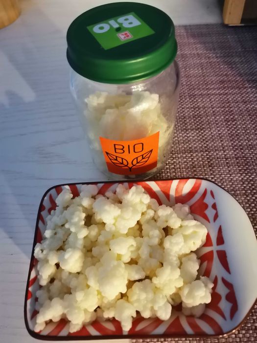 КЕФИРНИ  зърна. Кефир  за направа на напитка. Тибетски кефир