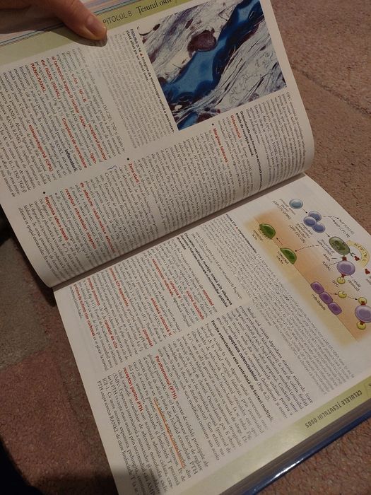 Atlas Histologie Ross