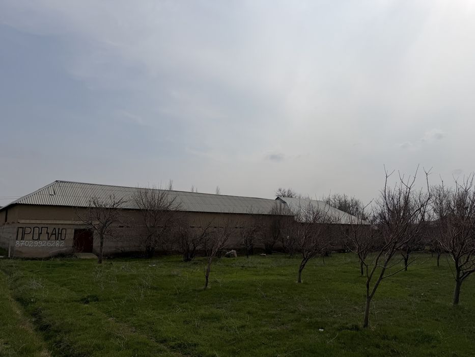 Үй+ферма+ 1 га алма бау