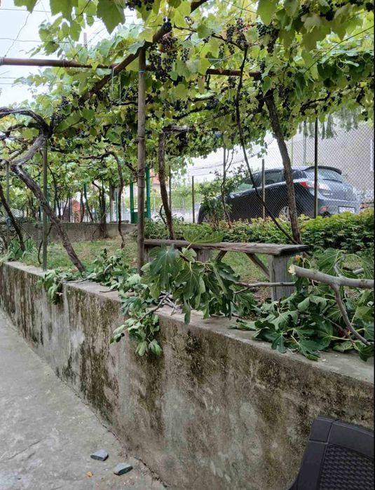 Продава се Къща в Белово - 70 кв.м за 172 €/кв.м - Снимка #2