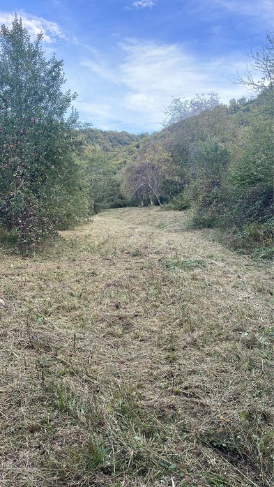 Vand teren Borlova-Muntele Mic-cu Proiect de Cabana