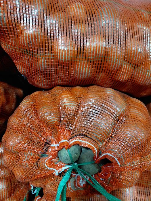 Семенной картофель 120тг