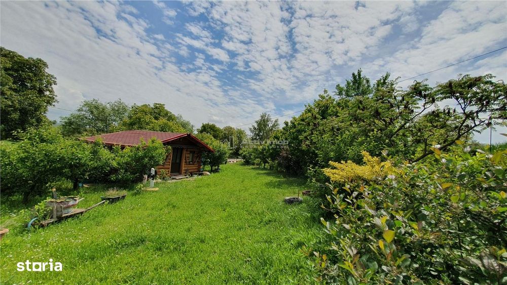 Teren intravilan - 2400 mp - 3 cabane din lemn modulare - Lisaura