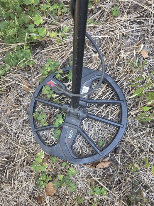 Minelab Equinox 800