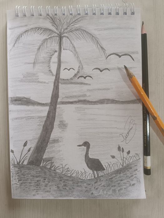 Gomoseksualizm haqida korsatuv